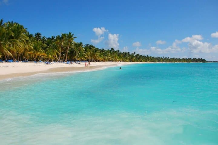 Semi-Private Saona Island Day Trip from Punta Cana — Speedboat, Beach Lunch & Open Bar photo 4