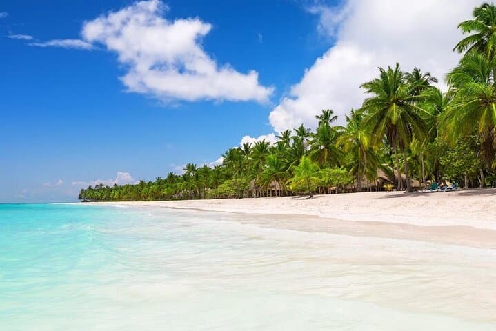 Semi-Private Saona Island Day Trip from Punta Cana — Speedboat, Beach Lunch & Open Bar photo 1