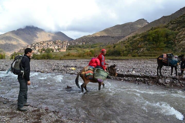Day Trek from Marrakech to the High Atlas: Berber Villages, Juniper Forests, and Imlil Valley photo 6