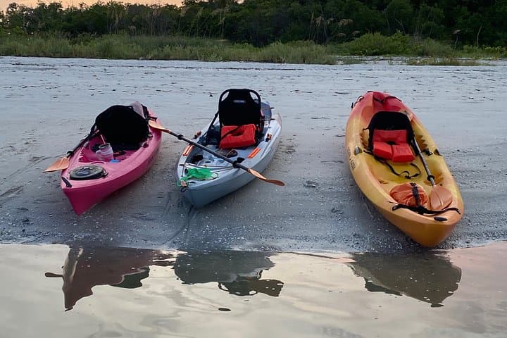 Kayak the Mangroves: Nauti Exposures Single-Kayak Rental in Naples, FL photo 2