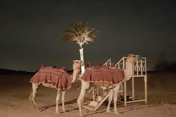 Royal Fortress Fine Dining Desert Safari: Luxury Dune Bashing & Sunset Dinner in Dubai photo 3