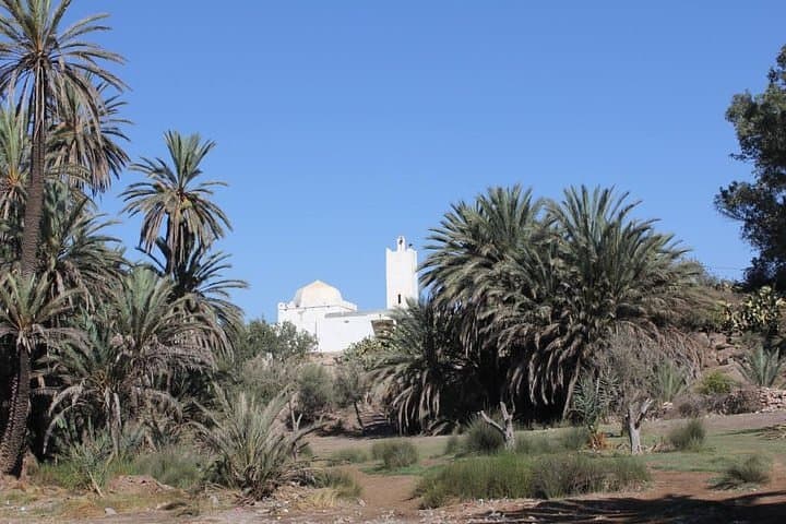 Essaouira Oasis Walk: Tea at a Basketmaker & Argan-Tree Trail photo 3