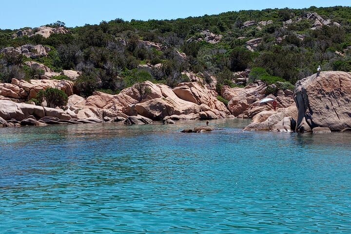 Tavolara & Molara Rubber-Boat Excursion — Crystal Coves and Posidonia Pools photo 4