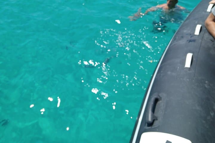 Tavolara & Molara Rubber-Boat Excursion — Crystal Coves and Posidonia Pools photo 5