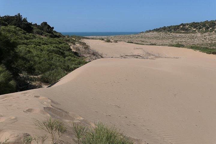 Cap Sim & Sidi Kaouki Coastal Hike — 15 km Across Dunes, Juniper Forests & Village Lunch photo 4