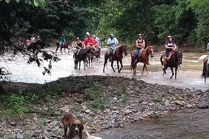 Sierra Madre Combo: ATV & Horseback Ride to Jungle Waterfalls from Puerto Vallarta photo 6