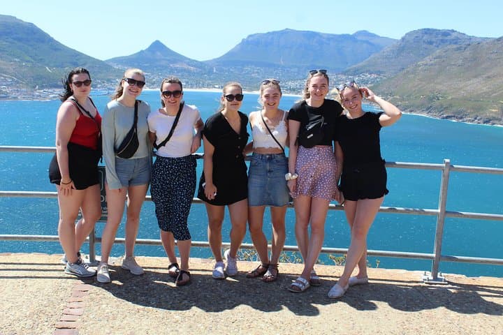 Whale Watching from Cape Town: Hermanus Penguins & Wine Day Trip photo 6