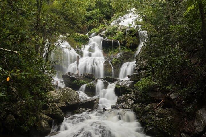 Half-Day Waterfalls Hike from Asheville — Naturalist-Led Trails in Pisgah