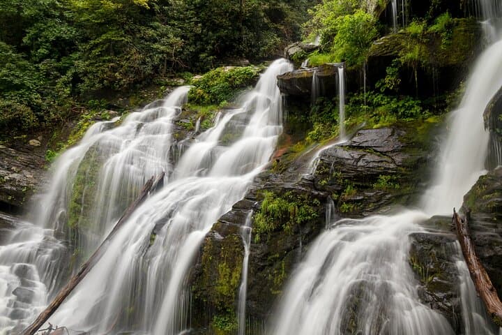 Half-Day Waterfalls Hike from Asheville — Naturalist-Led Trails in Pisgah photo 2