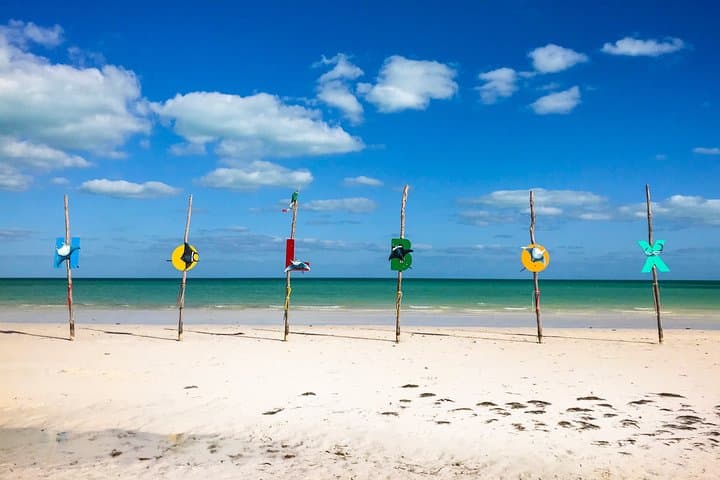 Holbox Day Trip from Cancun: Islands, Cenote & Punta Mosquito
