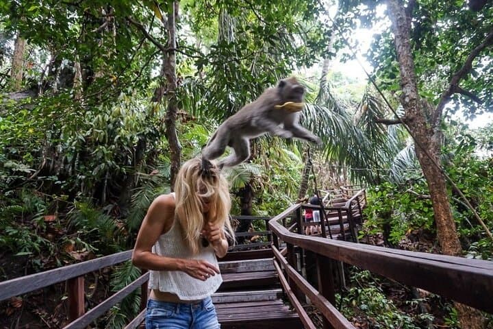 Full-Day Batur Volcano & Ubud Art Villages: Kintamani, Tegalalang & Tirta Empul photo 6