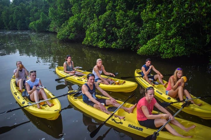 Sunrise Mangrove Kayak Tour from Ahungalla — Wildlife, Tunnels & Local Insights photo 5
