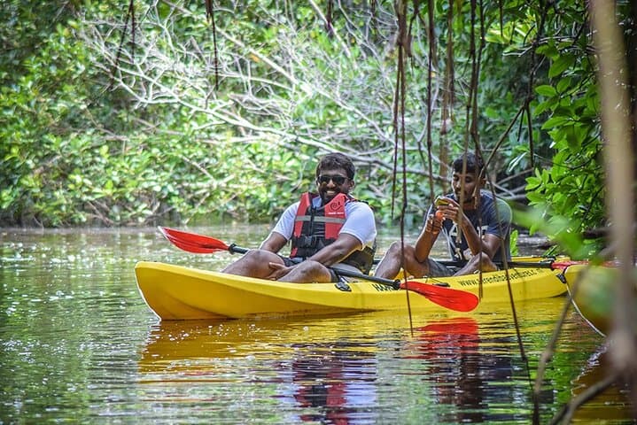 Sunrise Mangrove Kayak Tour from Ahungalla — Wildlife, Tunnels & Local Insights photo 2