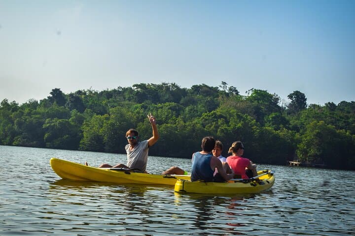 Sunrise Mangrove Kayak Tour from Ahungalla — Wildlife, Tunnels & Local Insights photo 3
