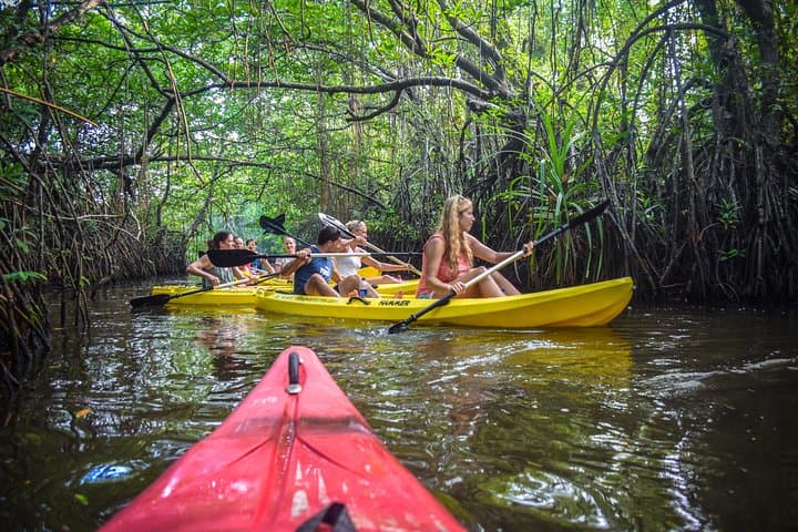 Sunrise Mangrove Kayak Tour from Ahungalla — Wildlife, Tunnels & Local Insights