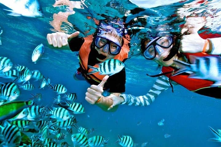 Snorkeling in Negombo: Short Boat Rides to Shallow Coral Gardens photo 2