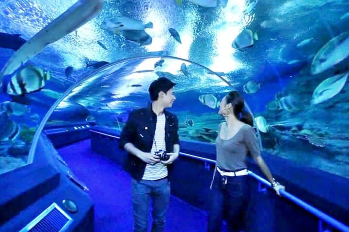 Walk the 100m Tunnel at Underwater World Pattaya — A Practical Visitor's Guide