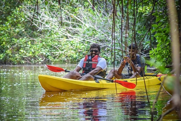 Sunrise Mangrove Kayaking in Bentota — Paddle Sri Lanka's Living Tunnels