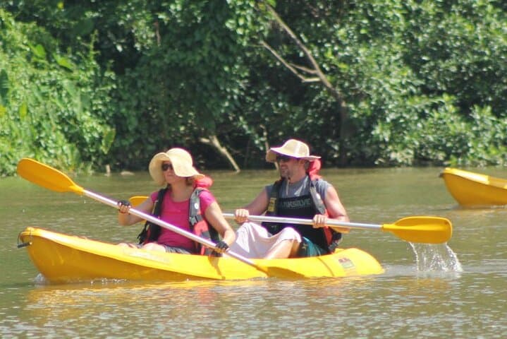 Kayaking in Habarana: Half-Hour Lake Paddle, Temple Visit & Village Life