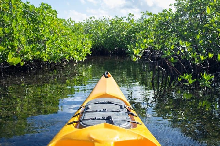 Kayaking in Habarana: Half-Hour Lake Paddle, Temple Visit & Village Life photo 3