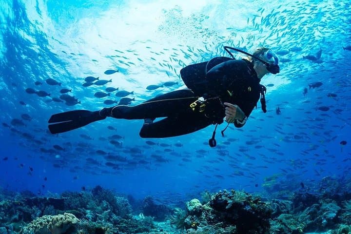 Scuba Diving in Hikkaduwa: Coral Gardens, Turtles & PADI Courses