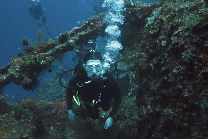Tulamben USAT Liberty: Full-Day 2-Dive PADI Experience from Bali photo 4