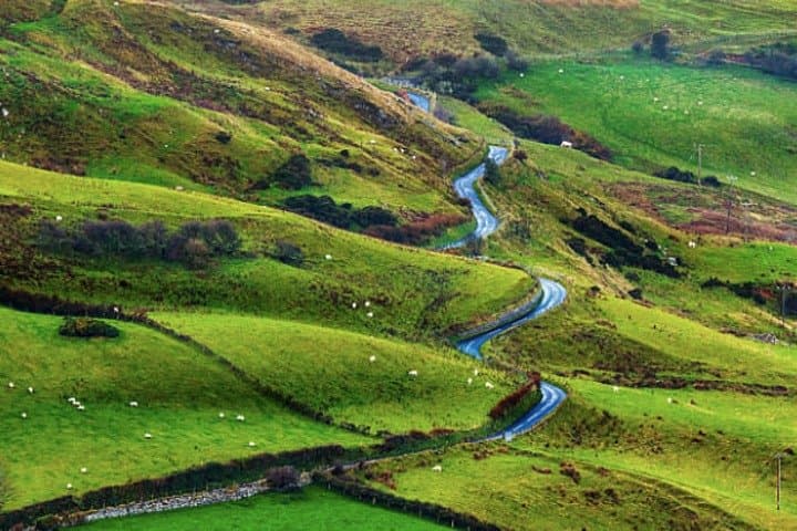 Giants Causeway and Belfast Shore Excursion: Full-Day Coastal Tour from Belfast photo 3