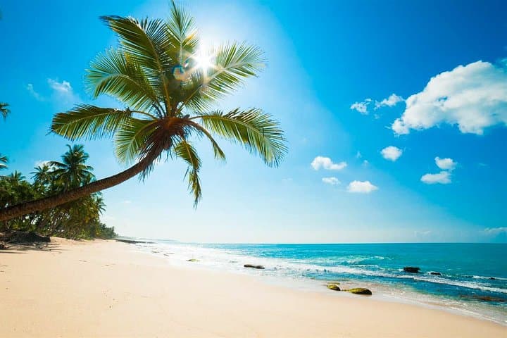 Negombo City Tour from Colombo: Private Day Tour to Fish Market, Dutch Fort & Hamilton Canal photo 2