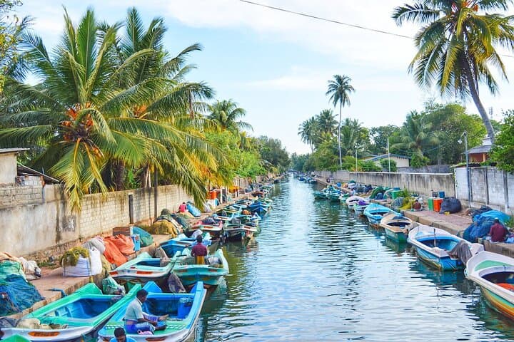Negombo City Tour from Colombo: Private Day Tour to Fish Market, Dutch Fort & Hamilton Canal photo 5