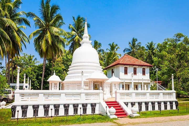 Negombo City Tour from Colombo: Private Day Tour to Fish Market, Dutch Fort & Hamilton Canal photo 6