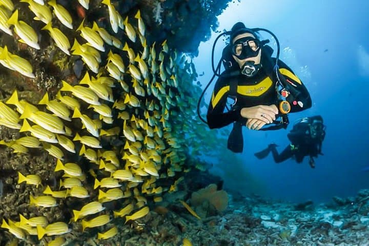 Talawila St. Anne's Reef Snorkel — Kalpitiya's Shallow Coral Gardens photo 3