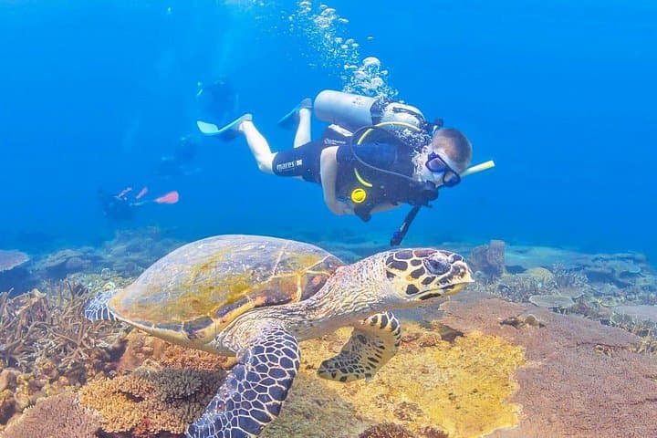 Talawila St. Anne's Reef Snorkel — Kalpitiya's Shallow Coral Gardens photo 2