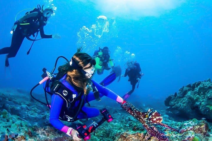 Talawila St. Anne's Reef Snorkel — Kalpitiya's Shallow Coral Gardens