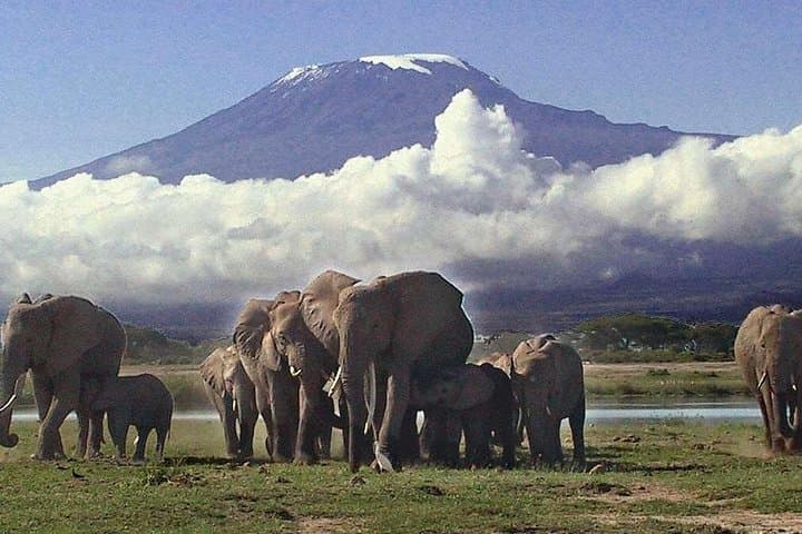 Overnight Amboseli Safari: Elephants, Kilimanjaro Sunrise & Private Game Drives photo 4