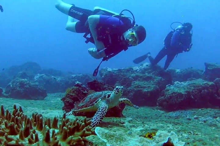 Scuba Diving from Kalpitiya: Clear Water Reefs and Coastal Encounters in Sri Lanka photo 2