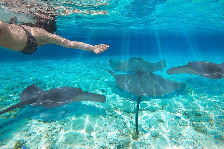 Scuba Diving from Kalpitiya: Clear Water Reefs and Coastal Encounters in Sri Lanka photo 3