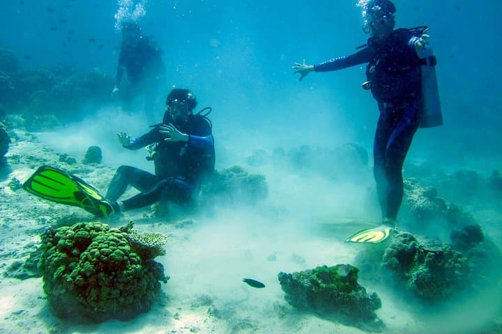 Scuba Diving from Kalpitiya: Clear Water Reefs and Coastal Encounters in Sri Lanka photo 4