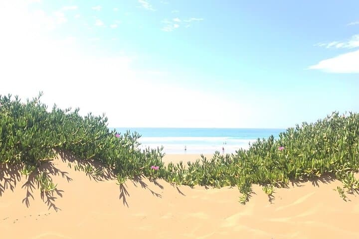 Day Trip from Marrakech to Agadir: Kasbah Views, Souks & Atlantic Boat Option photo 6