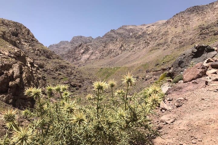 Two-Day Toubkal Ascent: Summit Mount Toubkal from Imlil photo 2