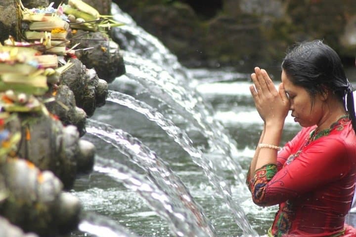 Ubud Highlights Full-Day Tour: Rice Terraces, Temples & Monkey Forest photo 2