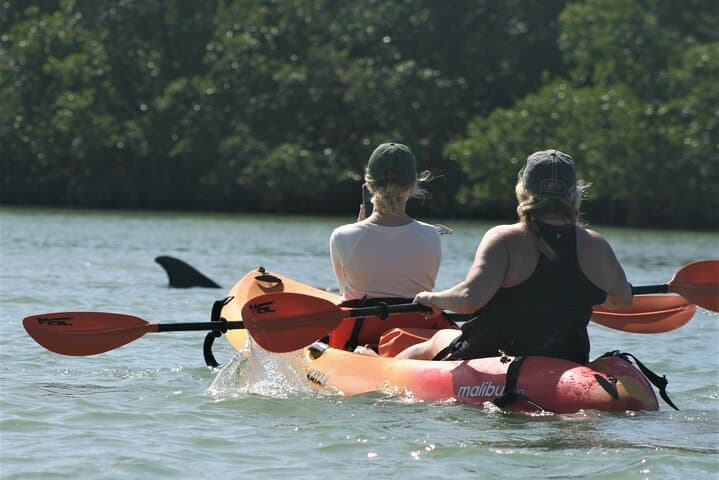 Kayak the Mangroves: Nauti Exposures Single-Kayak Rental in Naples, FL