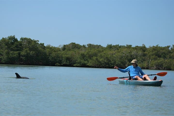 Kayak the Mangroves: Nauti Exposures Single-Kayak Rental in Naples, FL photo 3
