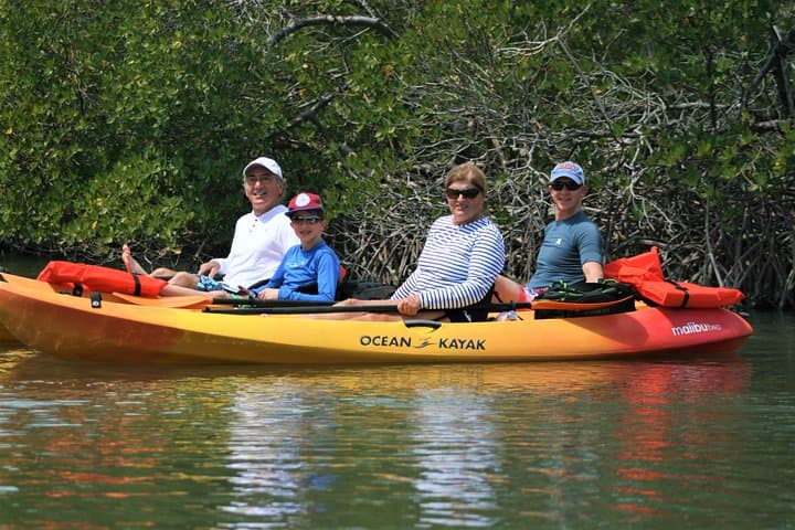 Kayak the Mangroves: Nauti Exposures Single-Kayak Rental in Naples, FL photo 5