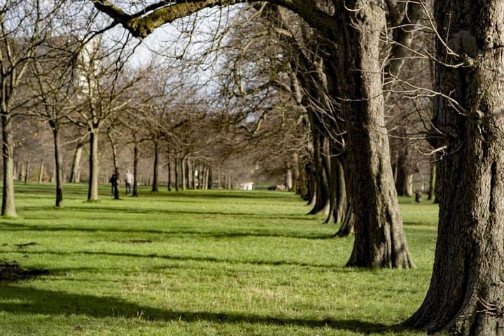 Hyde Park and Kensington Gardens Self-Guided Audio Tour — Walk London's Royal Parks photo 4