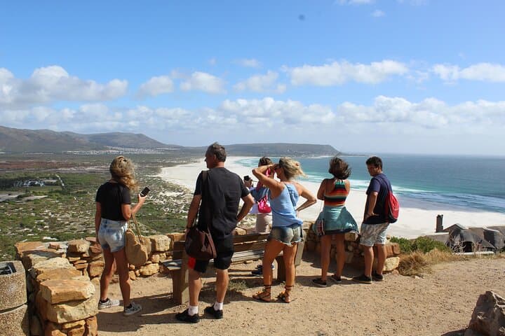 Full-Day Private Cape Point Tour — Penguins, Chapman's Peak & Wine Tasting photo 2