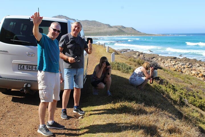 Cape Point & Boulders Penguins: Full‑Day Tour from Cape Town photo 3