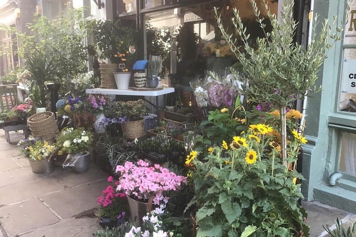 Hampstead Village Walking Tour: Historic Lanes, Heath Views & Literary Landmarks photo 3
