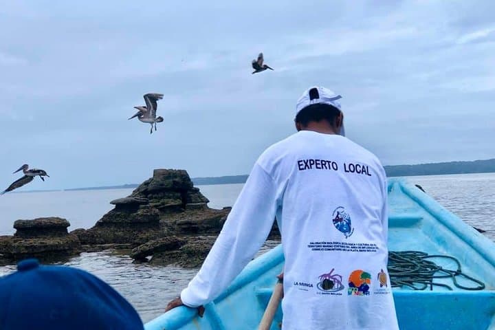 Whale Watching in Colombia's Pacific: Uramba Bahía Málaga Day Tour photo 3