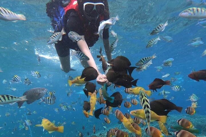 Blue Lagoon Snorkel & Kanto Lampo Waterfall: Full-Day Bali Adventure photo 4