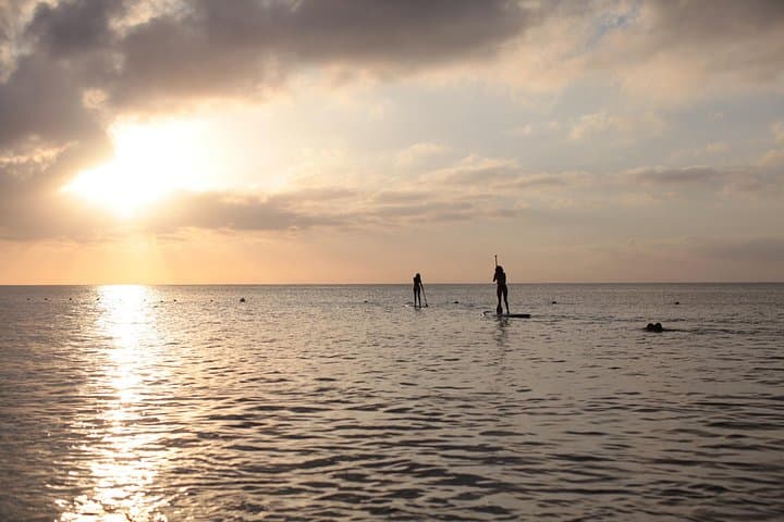 SUP to El Arco: Guided Stand-Up Paddle Tour Around Lands End, Cabo San Lucas photo 5